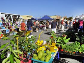 Maclean Community Monthly Markets