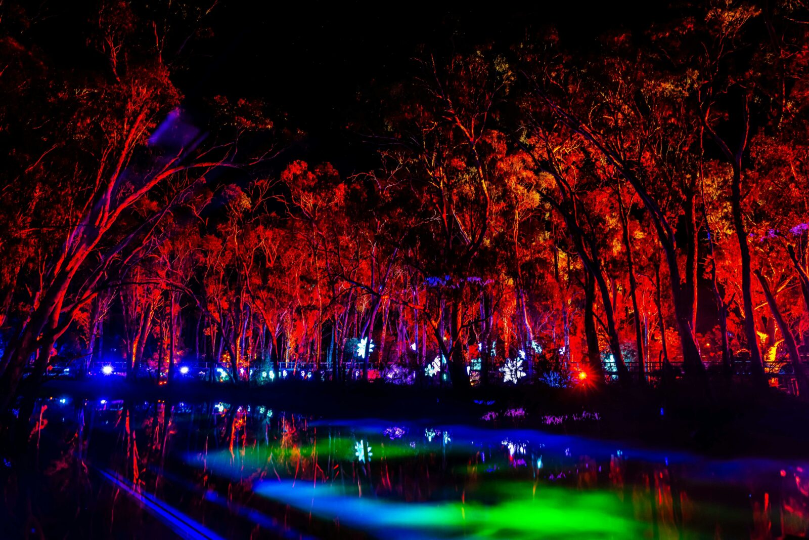 Trees lit up in red over a blue and green illuminated lagoon