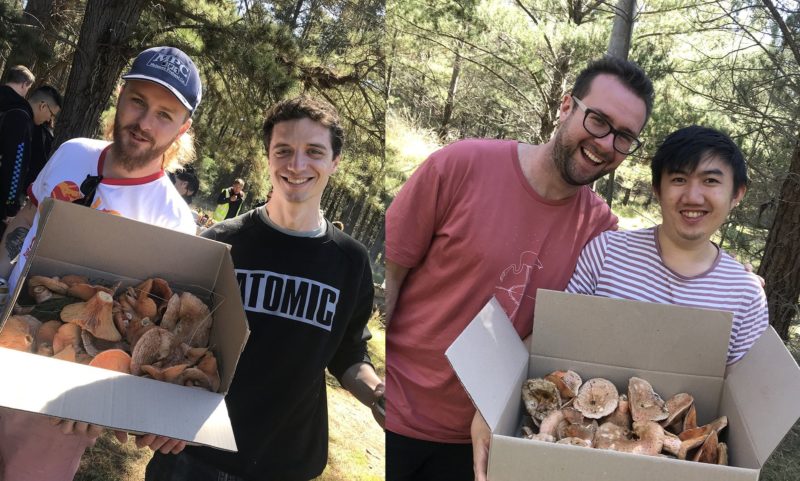 young chefs with foraged pine mushrooms in NSW