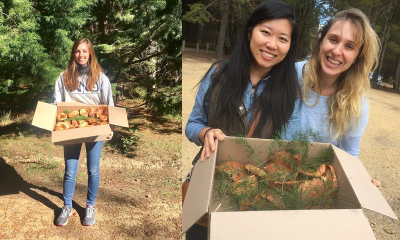 happy foragers in the forest with mushrooms