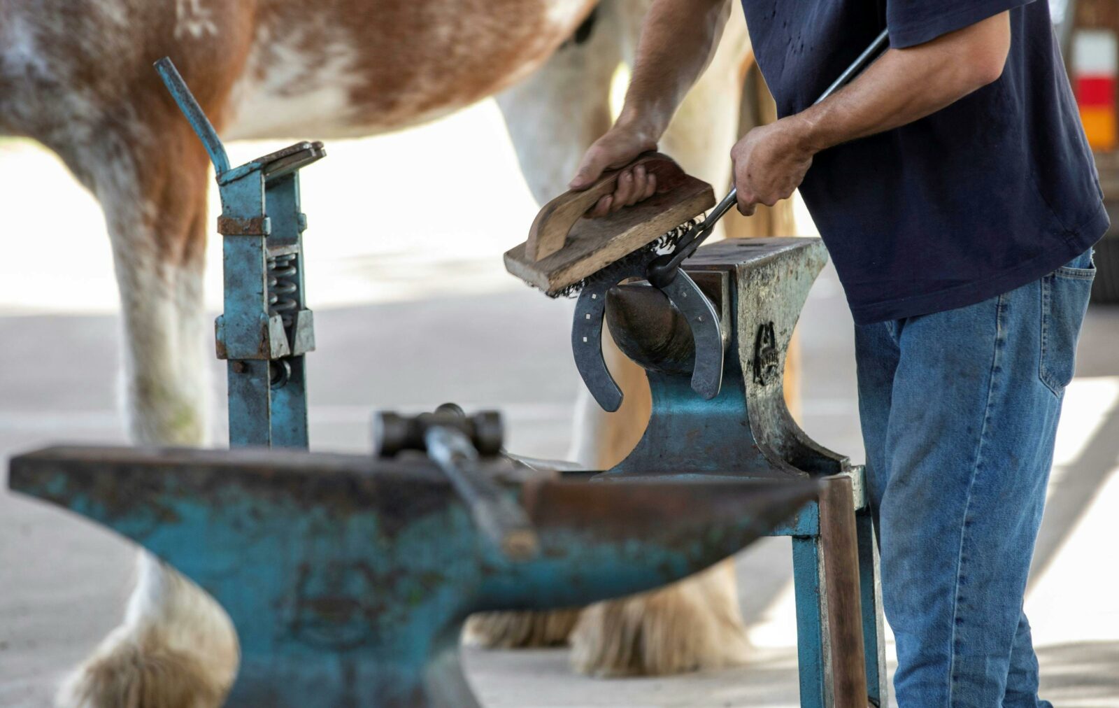 farrier shaping shoe at Scone Horse Festival
