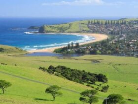 View of rolling green him and beach in Gerringong