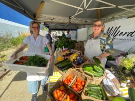 The Little Market at Honorbread, Bermagui