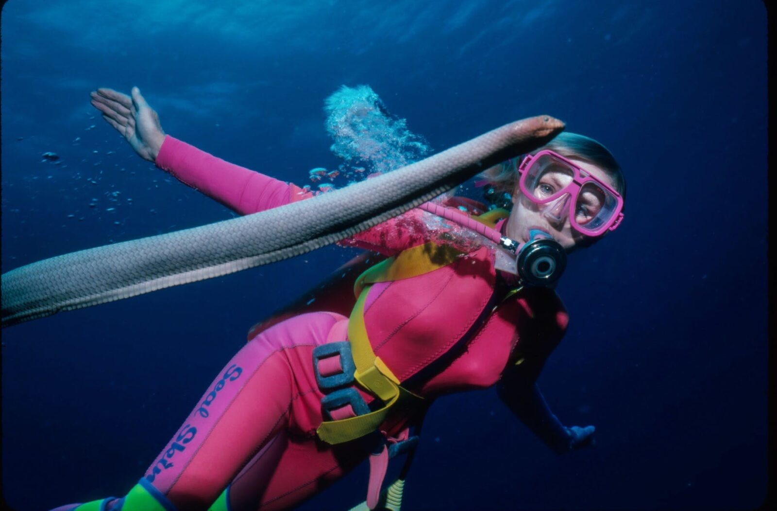 Valerie Taylor scuba diving with a sea snake