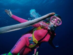 Valerie Taylor scuba diving with a sea snake