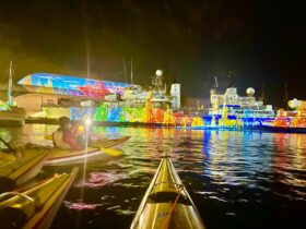 Vivid Lights Darling Harbour