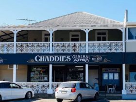 Chaddies Store