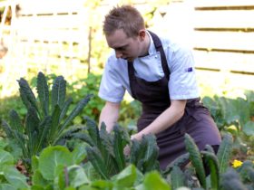 The kitchen garden is regularly harvested to form the basis of the seasonal menu.