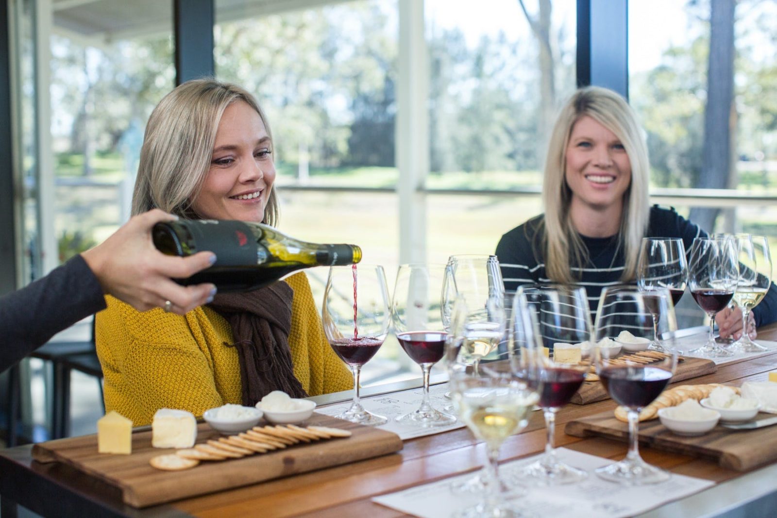 Wine lovers enjoying a cheese and wine experience
