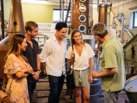Distillery tours Moore's Dry Gin