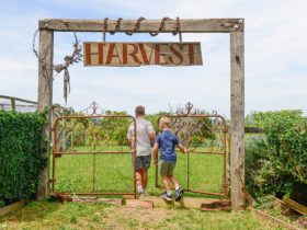 Harvest gates