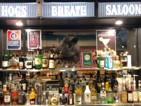 Bar with wide range of spirits. Stuffed boar's head is a center piece of the bar.