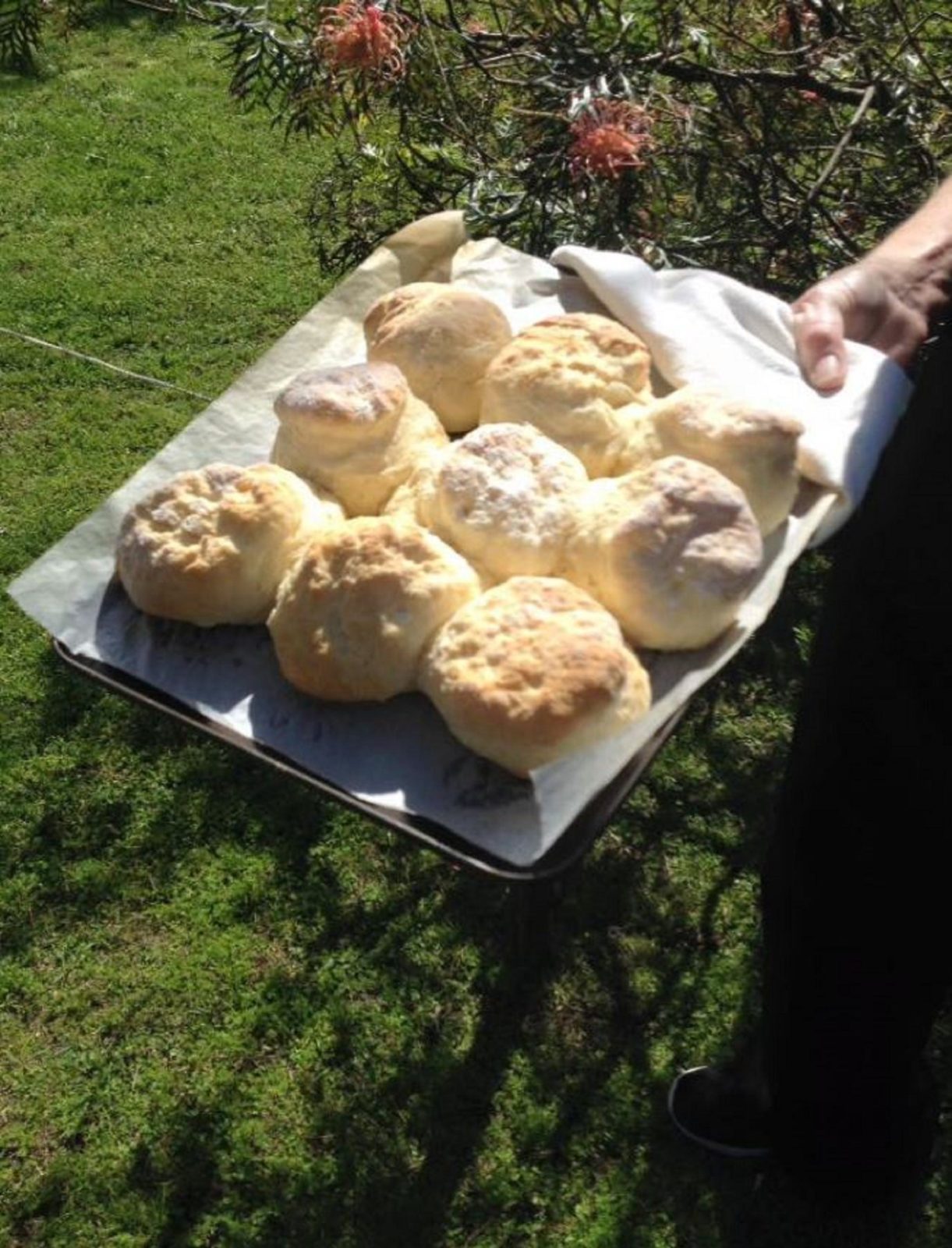 Tray of fresh scones the best