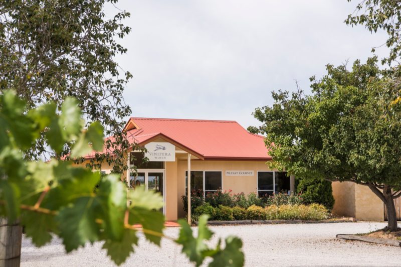 Image from the vineyard looking onto the Mudgee Gourmet and Vinifera Wines building