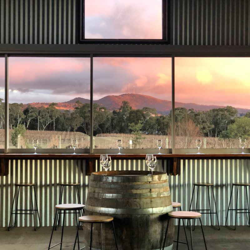A tasting experience with views across the vines