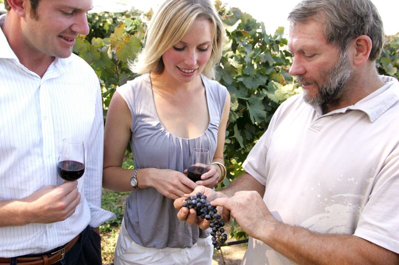Couple learning about the grapes from vintner Allan Pankhurst