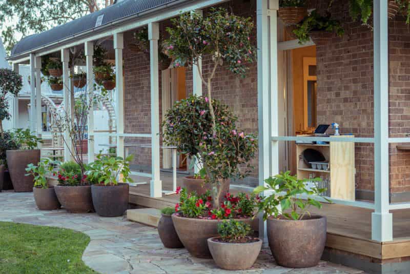 Pots lining path of renovated cottage