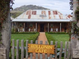 Rollonin Cafe