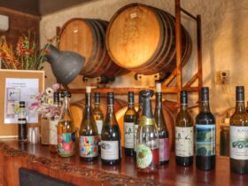 Rosnay Organic Farm and Vineyard Cellar Door edit