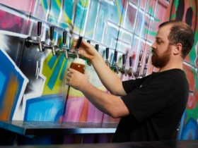 Bar tender pouring beer from line of taps