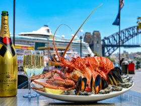 Seafood indulgence platter with a bottle of champagne overlooking the harbour.
