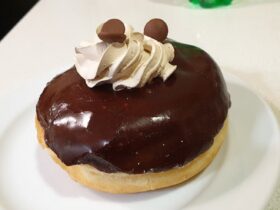 Chocolate donut with 2 chocolate sprinkles at the top
