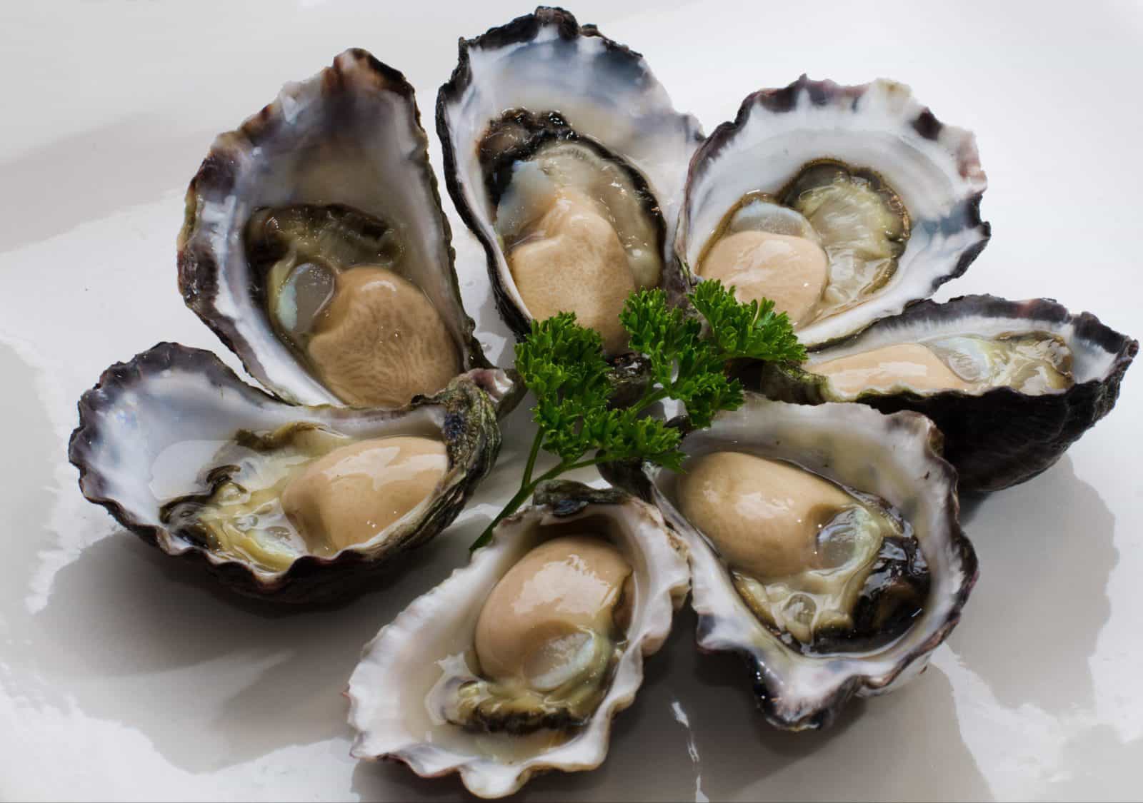 Luscious Tathra Oysters grown in the Pristine waters of Nelsons Lake in Mimosa Rocks National Park,
