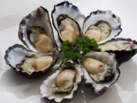 Luscious Tathra Oysters grown in the Pristine waters of Nelsons Lake in Mimosa Rocks National Park,