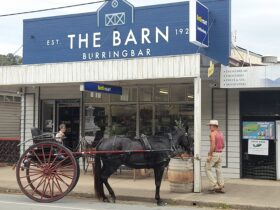 The Barn:You never know who might be visiting