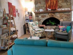 The lounge and lounge chairs with a stone fireplace and bookshelves with books that can be swapped