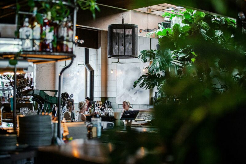 Photo of the venue with a plant in focus and people sitting to dine
