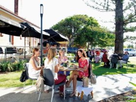 Ladies dining outside under Norfolk Pine trees at Gallery Cafe Ballina