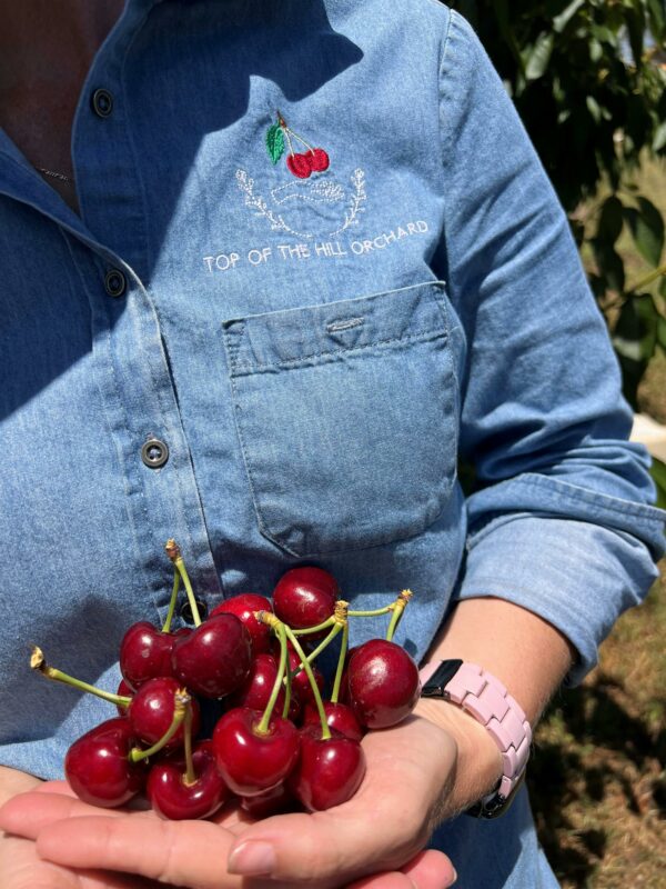 Hand full of cherries that have been hand picked