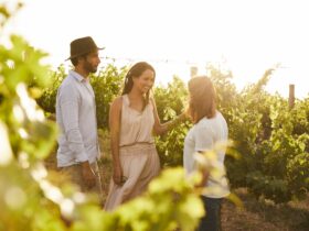 De Beaurepaire Wines, Rylstone: explore the vineyard with the vignerons