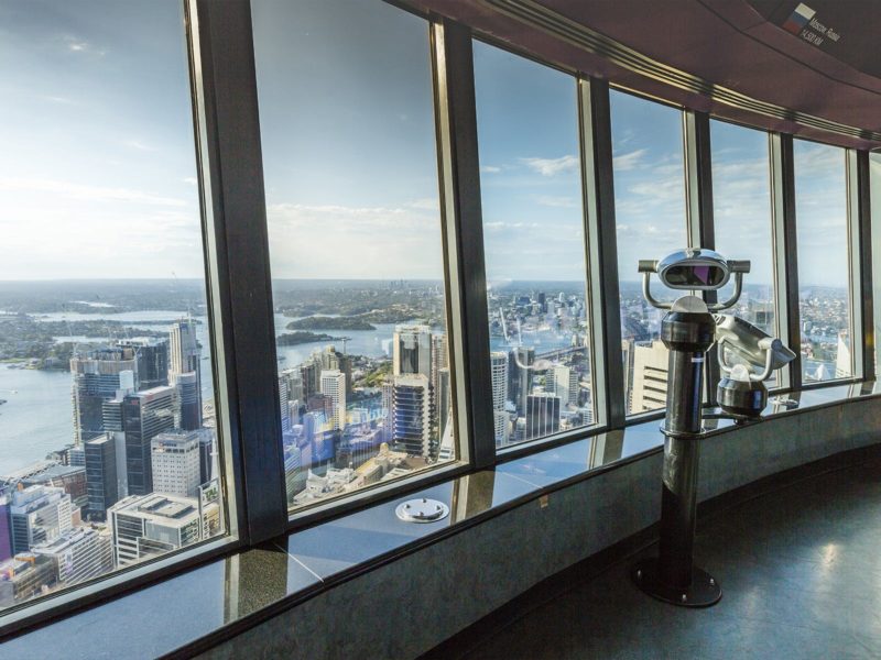 View from the Sydney Tower Eye