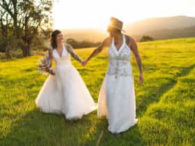 Two brides walk through a field at golden hour