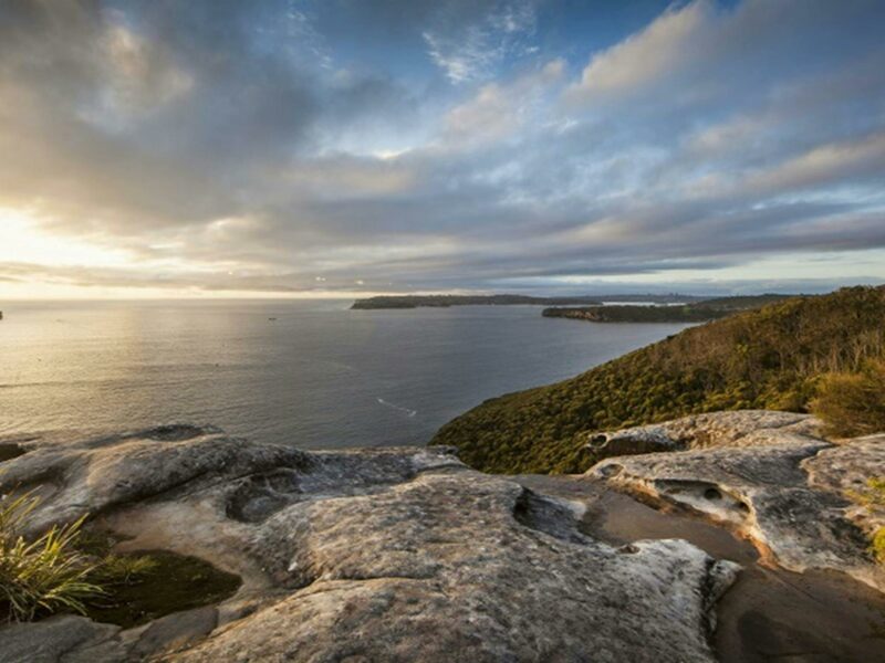 View of Sydney Harbour from Dobroyd Scenic Drive. Photo: David Finnegan © OEH