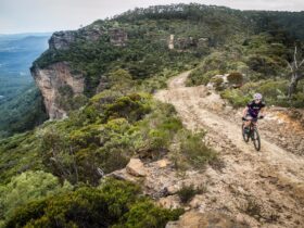 Blue mountain bikes australia