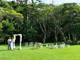 A couple standing next to a bridal arch with rainforest in the background at Broken Head lawn.