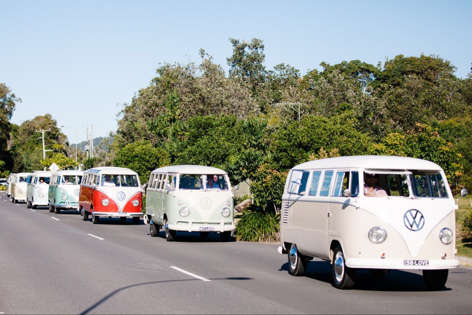 Tours with Byron Bay Kombis