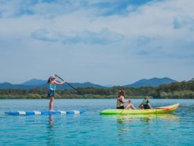 Kayaking and Stand Up Paddle Boarding - Coffs Harbour