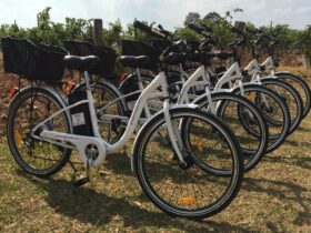 Grapemobile eBikes! Ride the Wine Trail with ease! Situated in the Central Pokolbin Region