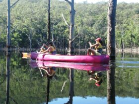 Kayak and canoe kangaroo valley