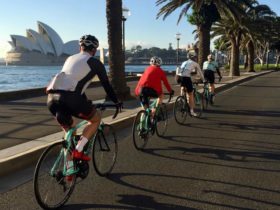 Road bike rental sydney performance bondi guided tour