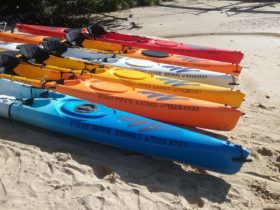 Point Piper Kayaks