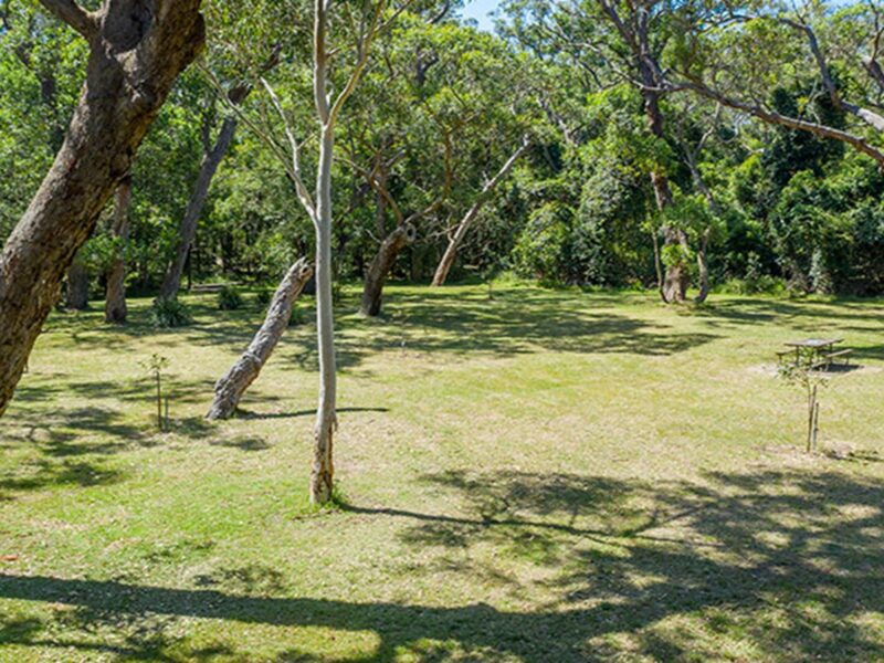 The grassy picnic area behind Seven Mile Beach in Seven Mile Beach National Park. Photo: John