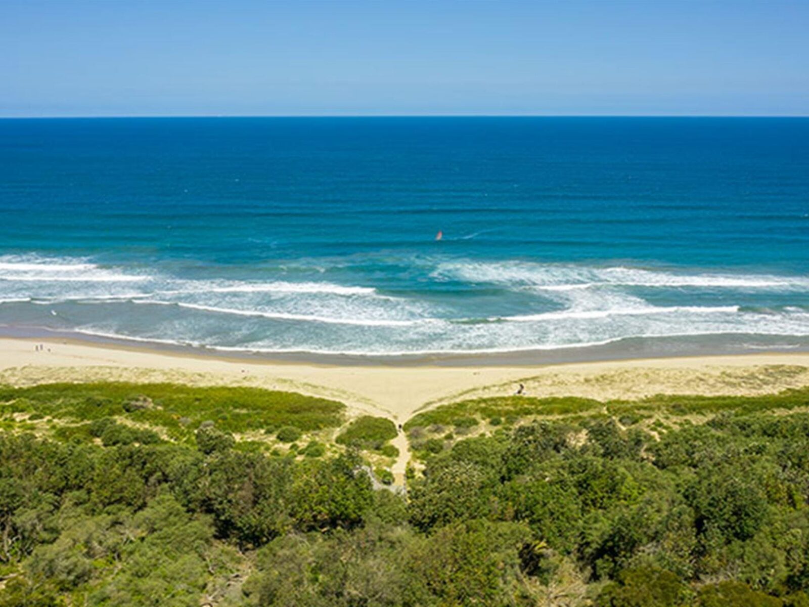 An aerial shot of the path through forest to Seven Mile Beach in Seven Mile Beach National Park.