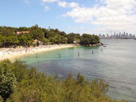 Views from Shakespeares Point towards Shark Beach, Nielsen Park, Sydney Harbour National Park.
