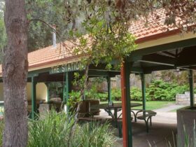 The Station picnic shelter, surrounded by trees in Ku-ring-gai Chase National Park. Photo: Nicole