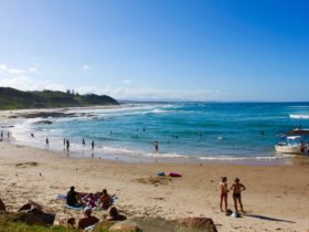Fun for the whole family at Shelly Beach in Nambucca heads!